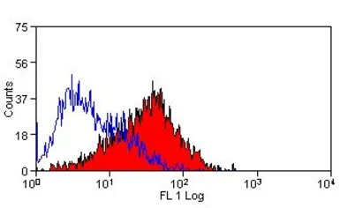 Anti-CD86 antibody [24F] (FITC) used in Flow cytometry (FCM). GTX43487