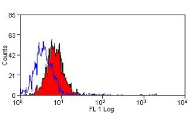 Anti-CD63 antibody [AD1] (FITC) used in Flow cytometry (FCM). GTX43526