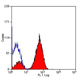 Anti-Integrin beta 3 antibody [HM beta 3.1] (FITC) used in Flow cytometry (FCM). GTX43532