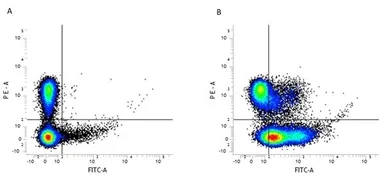 Anti-Integrin beta 1 / CD29 antibody [HM beta 1-1] (FITC) used in Flow cytometry (FCM). GTX43634