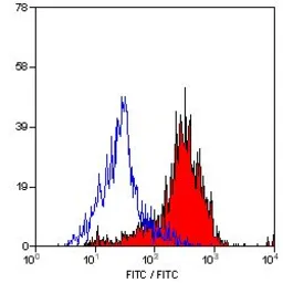 Anti-MSR1 antibody [2F8] (FITC) used in Flow cytometry (FCM). GTX43691