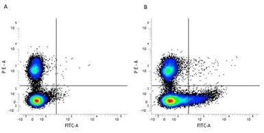 Anti-CD169 antibody [3D6.112] (FITC) used in Flow cytometry (FCM). GTX43729