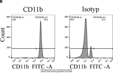 Anti-CD11b antibody [CC126] (FITC) used in Flow cytometry (FCM). GTX43767