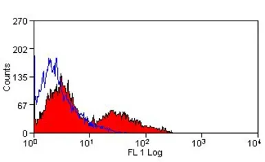 Anti-VCAM1 / CD106 antibody [MR106] (FITC) used in Flow cytometry (FCM). GTX43777