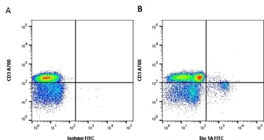 Anti-Bu-1A antibody [L22] (FITC) used in Flow cytometry (FCM). GTX43786