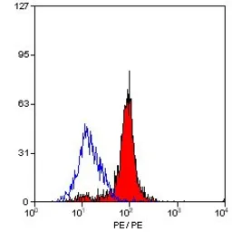 Anti-Dectin-1 antibody [2A11] (Biotin) used in Flow cytometry (FCM). GTX43894
