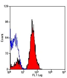 Anti-JAM-A antibody [H202-106] (Biotin) used in Flow cytometry (FCM). GTX43942