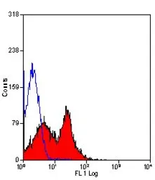 Anti-CD26 antibody [H207-1082] (Biotin) used in Flow cytometry (FCM). GTX43955