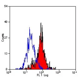 Anti-MSR1 antibody [2F8] (Biotin) used in Flow cytometry (FCM). GTX43968