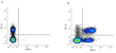 Anti-CD3 antibody [KT3] (APC) used in Flow cytometry (FCM). GTX44015