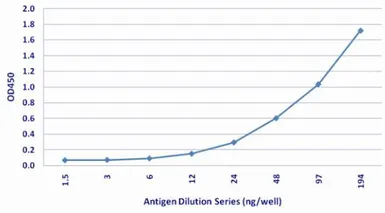 Anti-Cryptococcus neoformans antibody [439] used in ELISA (ELISA). GTX44030