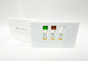 FSD Fluor&trade; 488 Antibody Labeling Kit. GTX440416