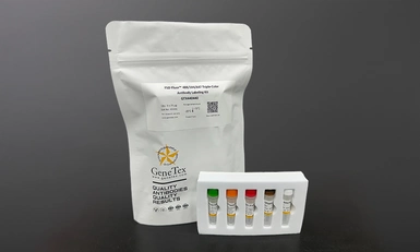 FSD Fluor&trade; Triple-Color (488/594/647) Antibody Labeling Kit. GTX440440