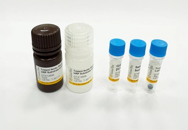 Western Blot Detection Kit (Internal Controls). GTX444069