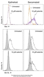 Anti-Bcl-X antibody [7B2.5] (PE) used in Flow cytometry (FCM). GTX46035