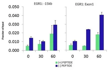 Anti-FBXO11 antibody, Internal used in ChIP assay (ChIP assay). GTX46904