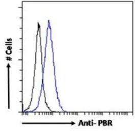 Anti-PBR antibody, C-term used in Flow cytometry (FCM). GTX47548