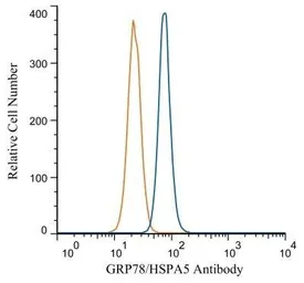 Anti-Grp78 antibody used in Flow cytometry (FCM). GTX48633