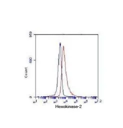 Anti-Hexokinase II antibody [1E8-H3-F11] used in Flow cytometry (FCM). GTX49233