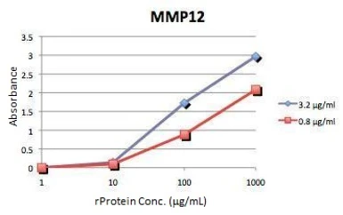MMP12 ELISA Pair. GTX500003