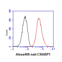 Anti-CRABP1 antibody [AT1A1] used in Flow cytometry (FCM). GTX50013