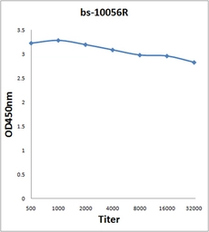 Anti-KNDC1 antibody used in ELISA (ELISA). GTX50991