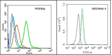Anti-ENPP3 antibody used in Flow cytometry (FCM). GTX51518