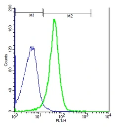 Anti-NFAM1 antibody used in Flow cytometry (FCM). GTX51546