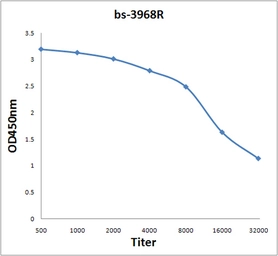 Anti-AMPK gamma 3 antibody used in ELISA (ELISA). GTX51582