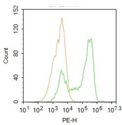 Anti-CTDSPL antibody used in Flow cytometry (FCM). GTX51940