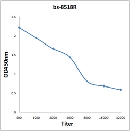 Anti-SPP24 antibody used in ELISA (ELISA). GTX51998