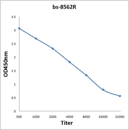 Anti-MLLT11 antibody used in ELISA (ELISA). GTX52000