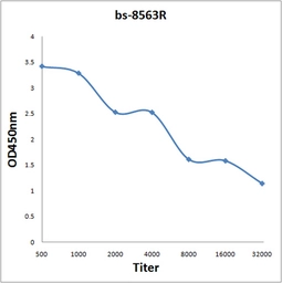 Anti-KIAA1522 antibody used in ELISA (ELISA). GTX52001