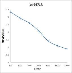 Anti-ASH1L antibody used in ELISA (ELISA). GTX52214