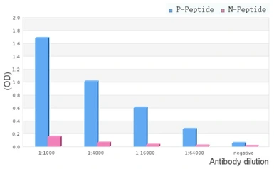 Anti-IKK alpha (phospho Ser180) + IKK beta (phospho Ser181) antibody used in  (). GTX52309