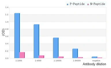 Anti-AHR (phospho Ser36) antibody used in ELISA (ELISA). GTX52324