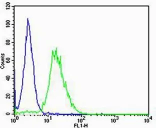 Anti-Casein Kinase I gamma 3 antibody used in Flow cytometry (FCM). GTX53489