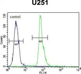 Anti-COPZ2 antibody used in Flow cytometry (FCM). GTX53526