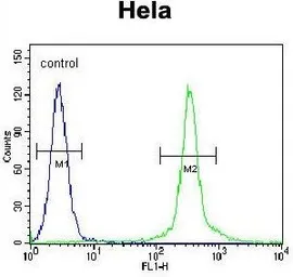Anti-CMPK2 antibody used in Flow cytometry (FCM). GTX53527