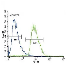 Anti-Cav alpha 2/delta 3 antibody used in Flow cytometry (FCM). GTX53537
