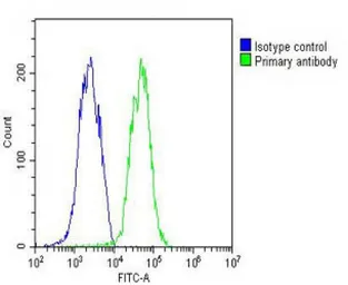 Anti-ID1 antibody used in Flow cytometry (FCM). GTX53624