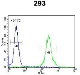 Anti-MRAP antibody used in Flow cytometry (FCM). GTX53669