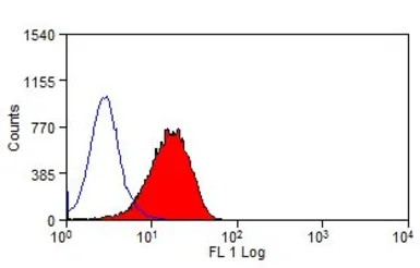 Anti-Integrin alpha 3 antibody [P1B5] used in Flow cytometry (FCM). GTX54077