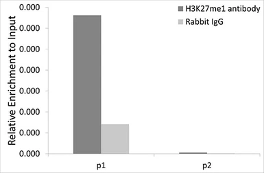 Anti-Histone H3K27me1 (mono-methyl Lys27) antibody used in ChIP assay (ChIP assay). GTX54104