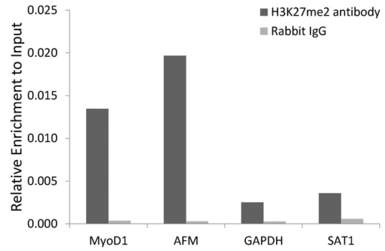 Anti-Histone H3K27me2 (di-methyl Lys27) antibody used in ChIP assay (ChIP assay). GTX54105