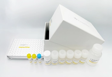Respiratory Syncytial Virus Nucleoprotein ELISA Kit. GTX542454