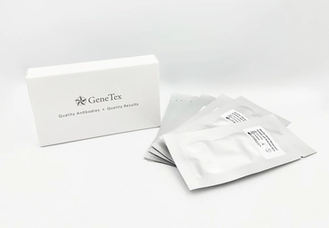 Mouse Monoclonal Antibody IgG Subclass Strip Kit. GTX543056