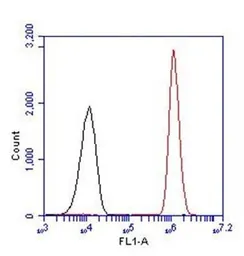 Anti-PAX5 antibody used in Flow cytometry (FCM). GTX54532