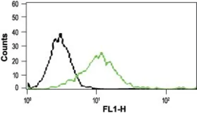 Anti-VRL1 antibody used in Flow cytometry (FCM). GTX54766