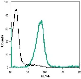 Anti-Nectin 1 antibody used in Flow cytometry (FCM). GTX54843